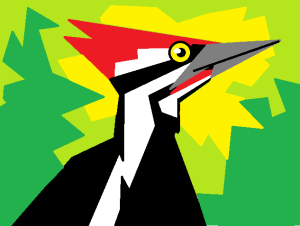 woodpecker