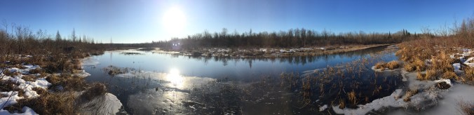 D56F9328-1563-4D02-8EA6-B15C12A98A17