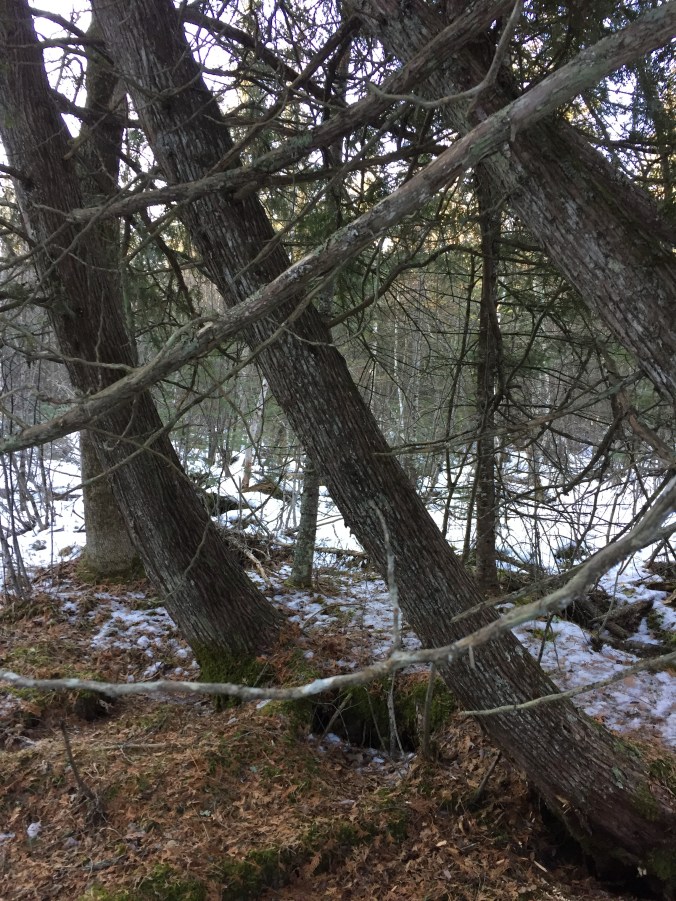 D5FB0AEC-1497-46B7-89F1-62B31BA99274