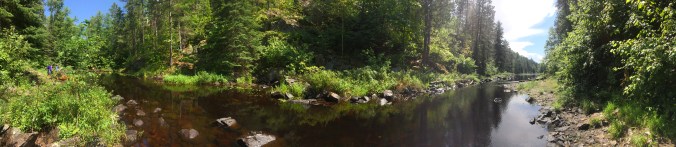 E7B05B94-420D-4B36-8E8D-B5E669896EAE