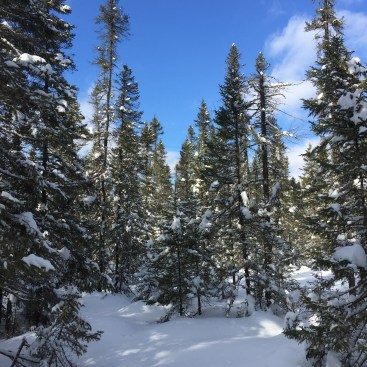 31A1A4CA-C18B-47BA-AD71-3042F4F6FB9F