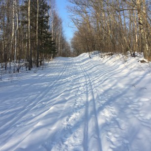 4C701A7D-B119-4E21-B4EE-4BF9B656D9CF