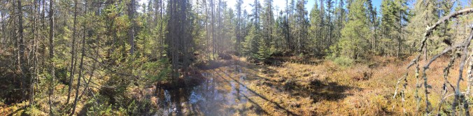 107121B5-35CB-49E2-80CB-165C3BF75AA9