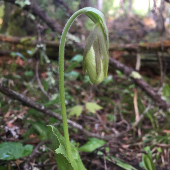 924C55F2-E4E7-4B09-9805-D1357CB7B7B8