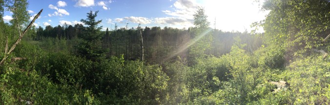 643F3CBE-44A3-46BF-89FA-FFF458657A38