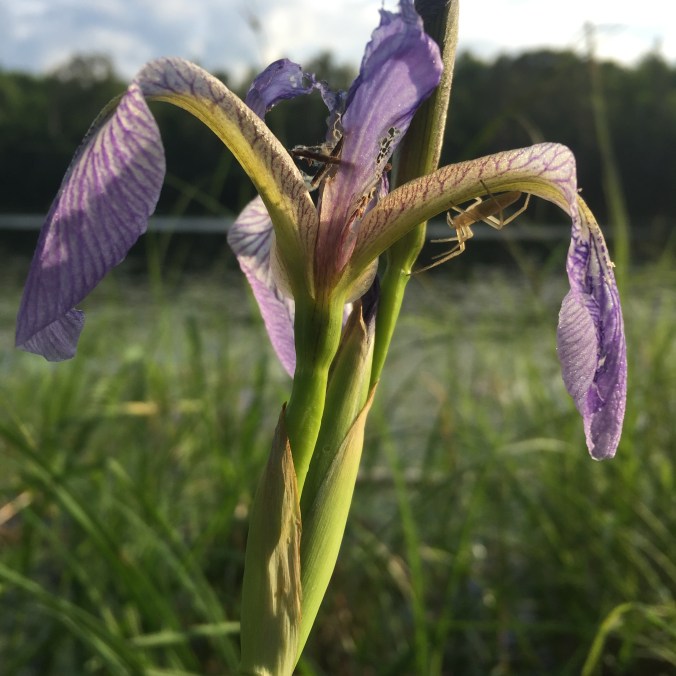 C2B09D7E-9255-49C9-99F5-E136B3328CCB