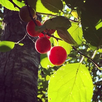 BB25D04C-50B3-4004-8251-00F82C857B70